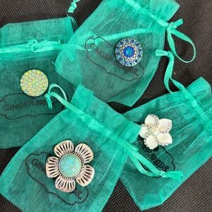 GingerSnaps Glam Charm set of 4 - Standard Size with bags